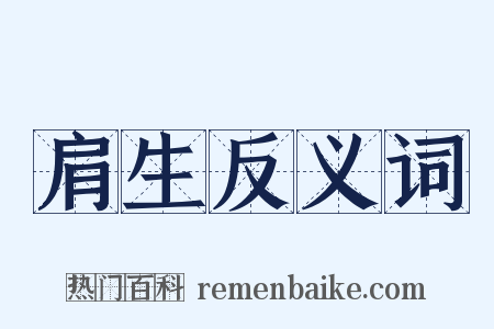 肩生反义词是什么意思的图片